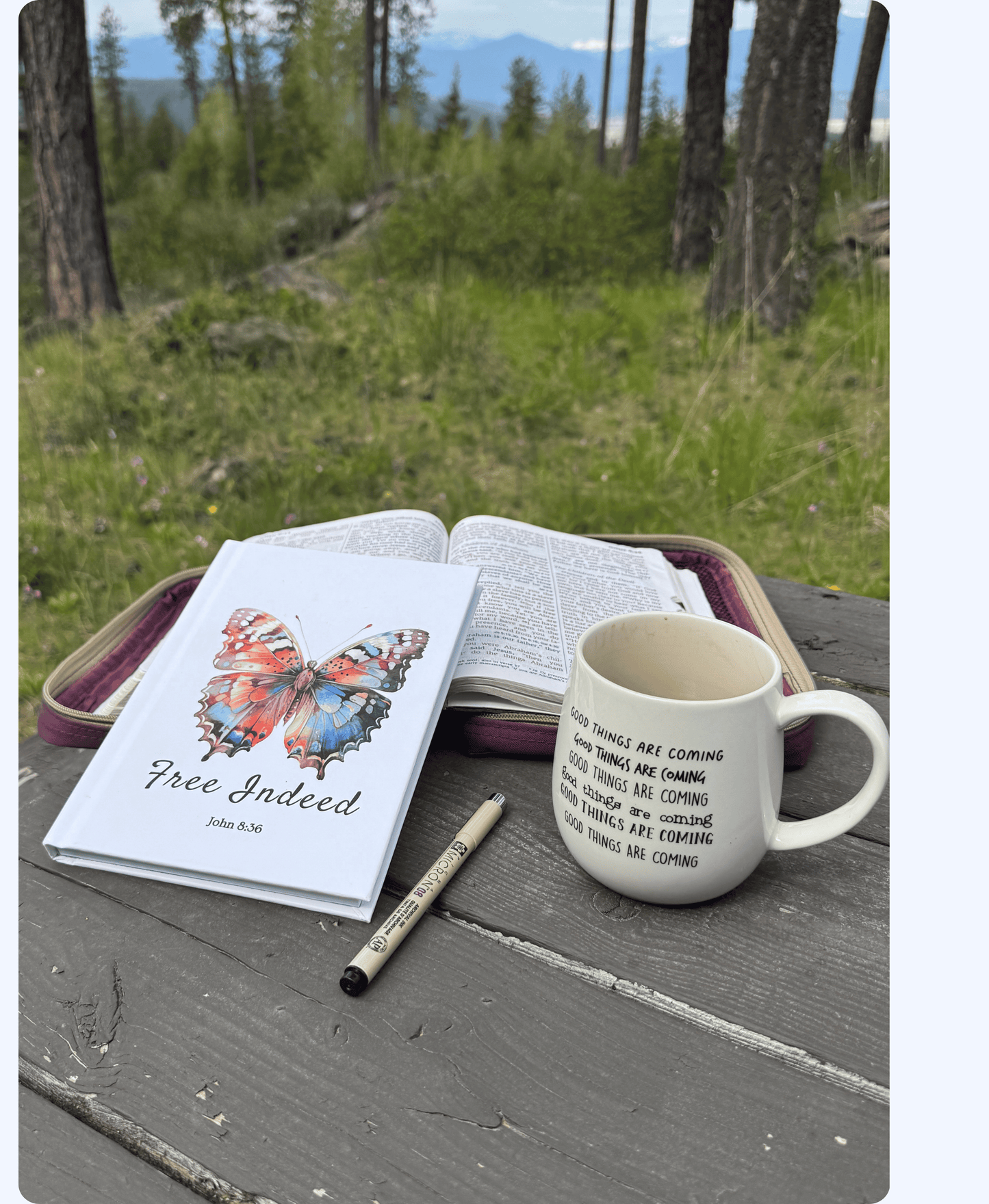 Inspirational Butterfly "Free Indeed" Hardcover Journal – A Beautiful Faith-Based Writing Companion for Reflection and Creativity