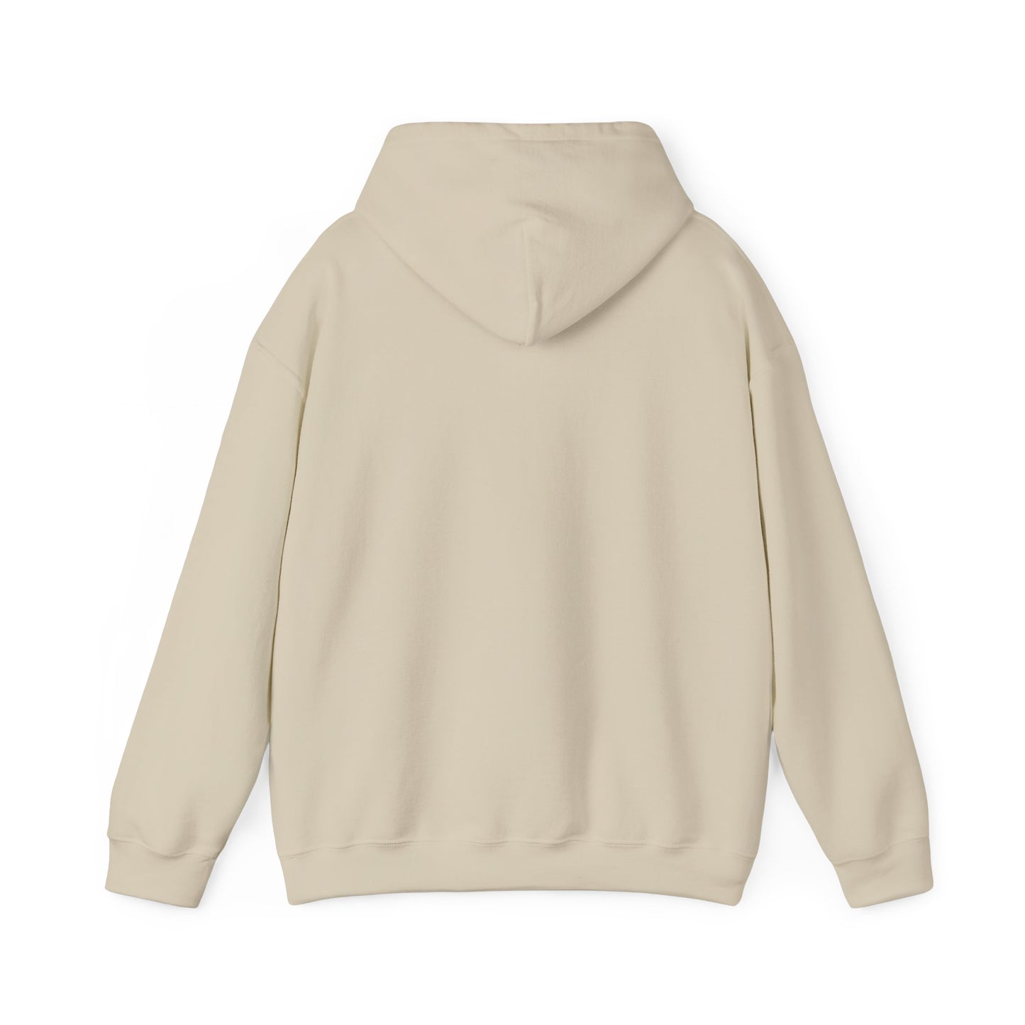 π₯ The Ball Never Lies Justice Volleyball Hoodie π π βοΈ