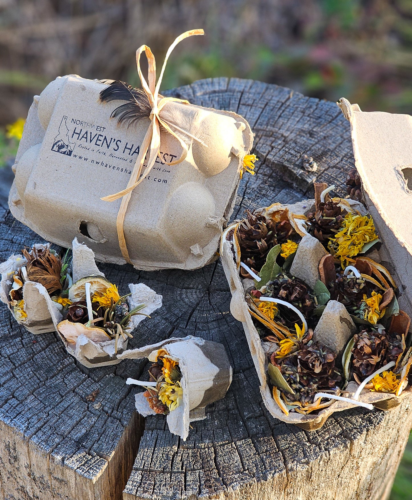 Botanical Firestarters: Eco-Friendly Camping & Bonfire Starter