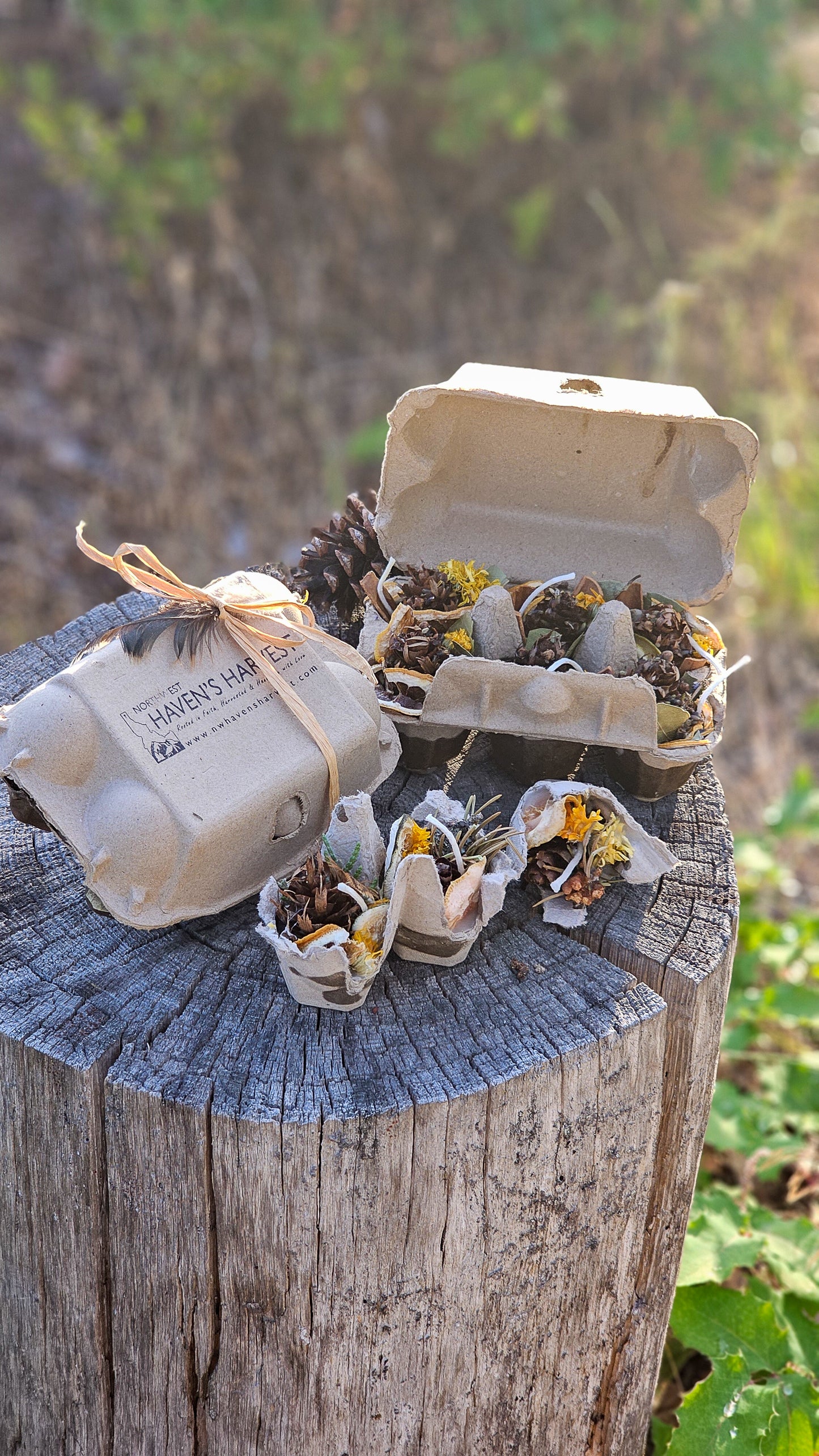 Botanical Firestarters: Eco-Friendly Camping & Bonfire Starter