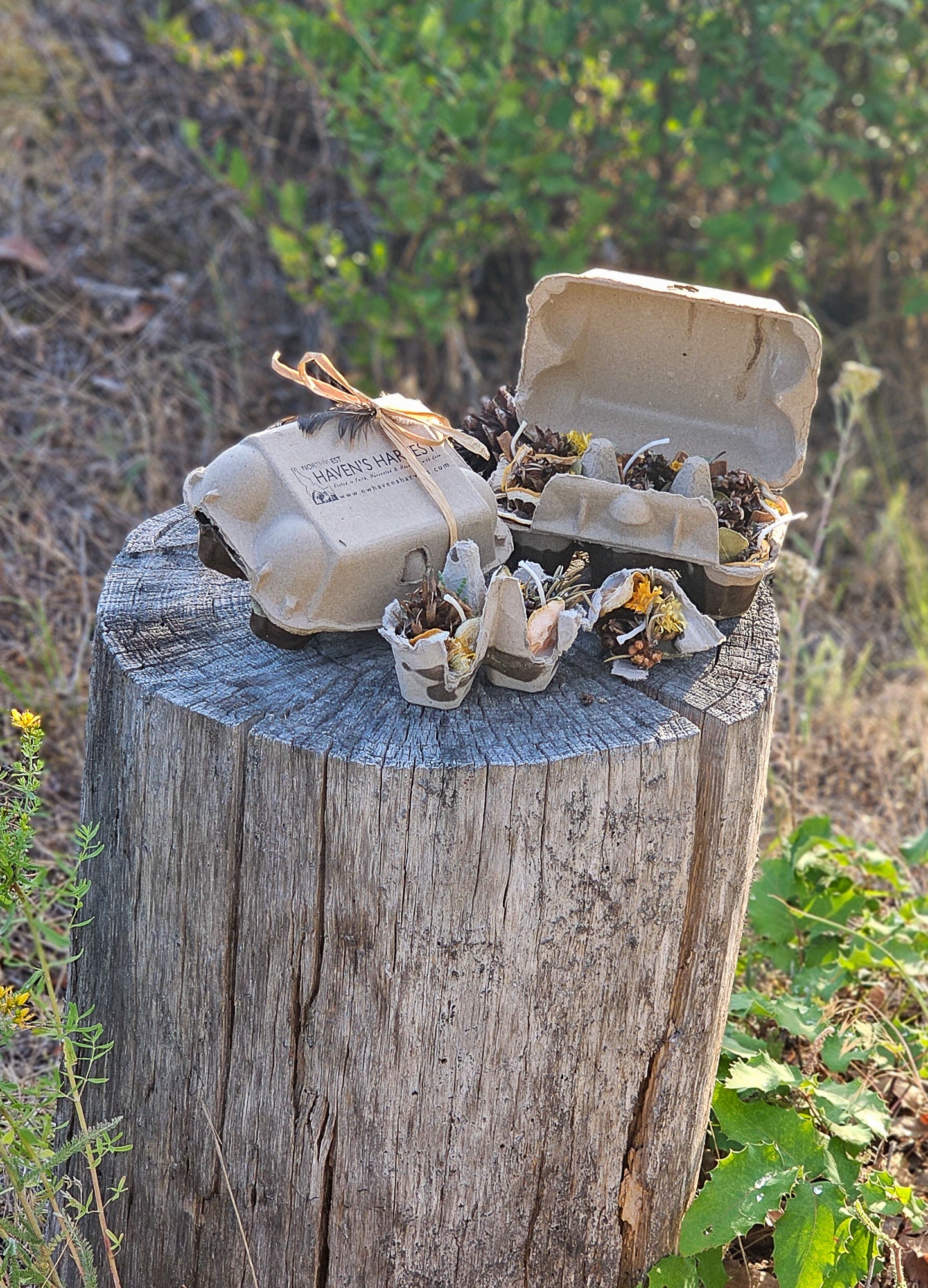 Botanical Firestarters: Eco-Friendly Camping & Bonfire Starter