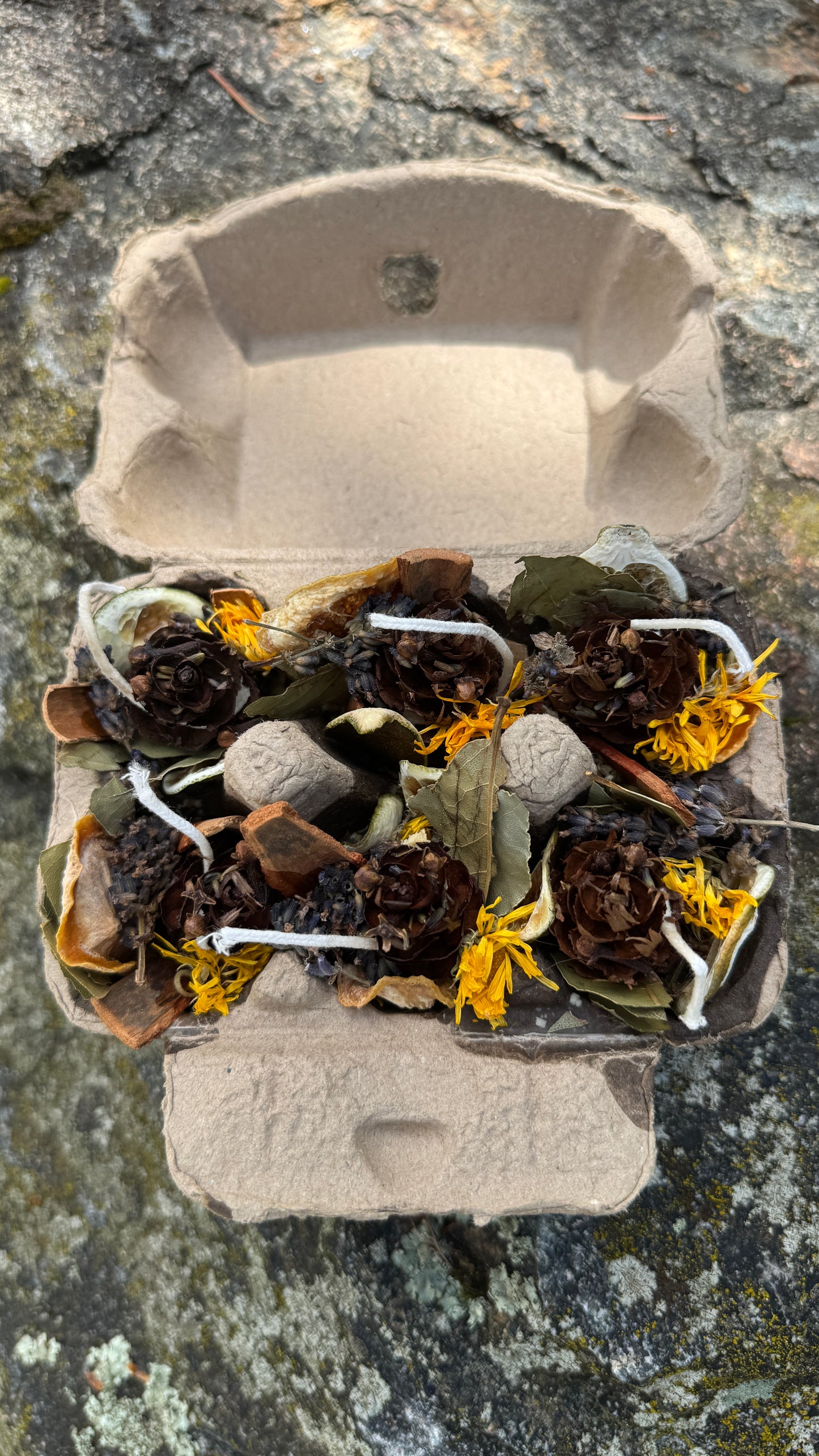Botanical Firestarters: Eco-Friendly Camping & Bonfire Starter