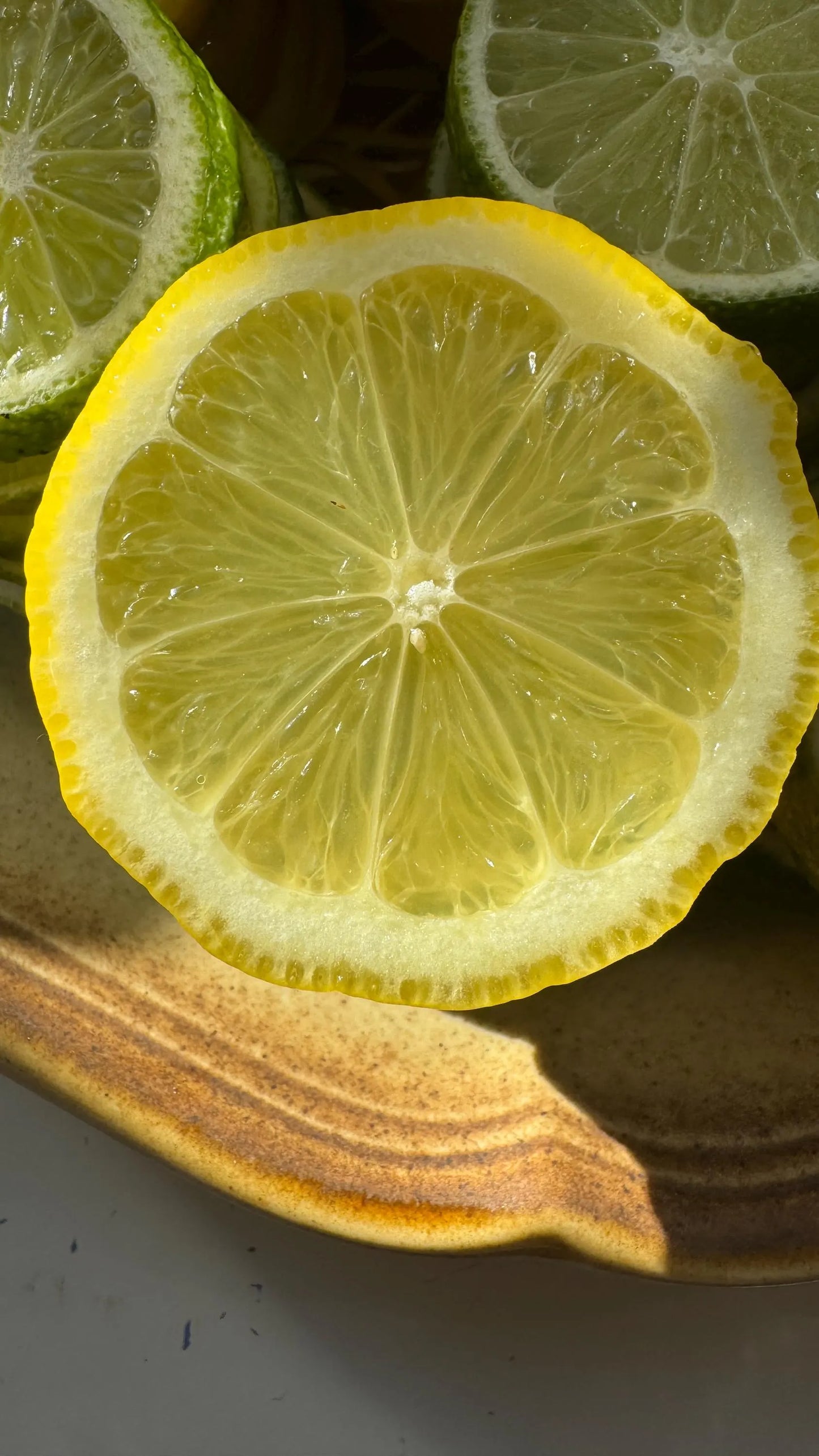 Organic Dried Lemon Slices (30 Count) – Fall Decor, Cocktail Garnish, Potpourri, Holiday Crafts