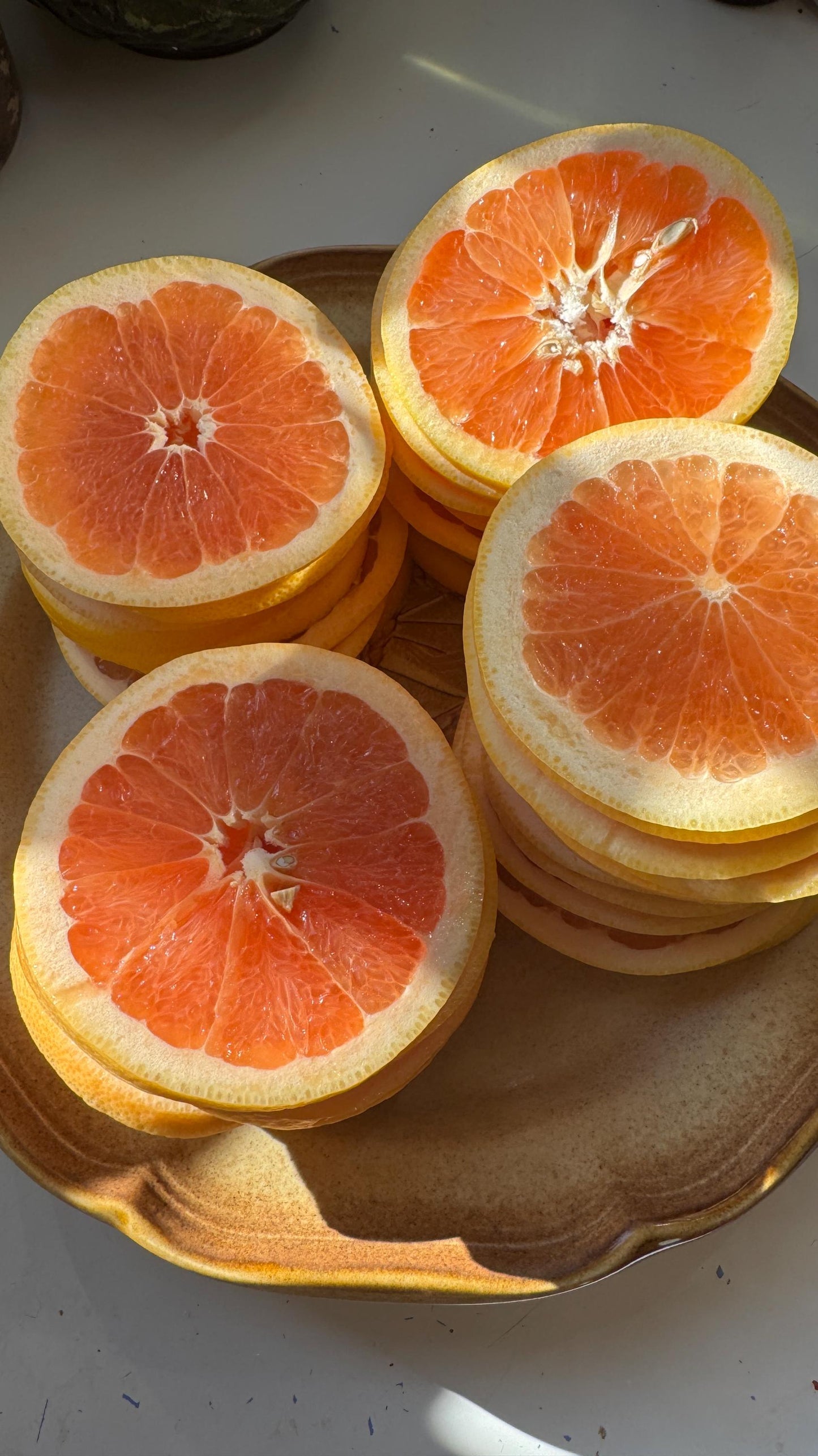 Organic Dried Grapefruit Slices (20 Count) – Fall Decor, Cocktail Garnish, Potpourri, Holiday Crafts