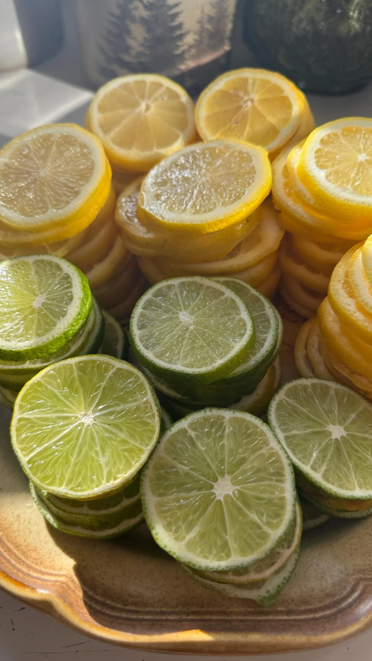 Organic Dried Citrus Slices (30 Count) – Fall Decor, Cocktail Garnish, Potpourri, Holiday Crafts