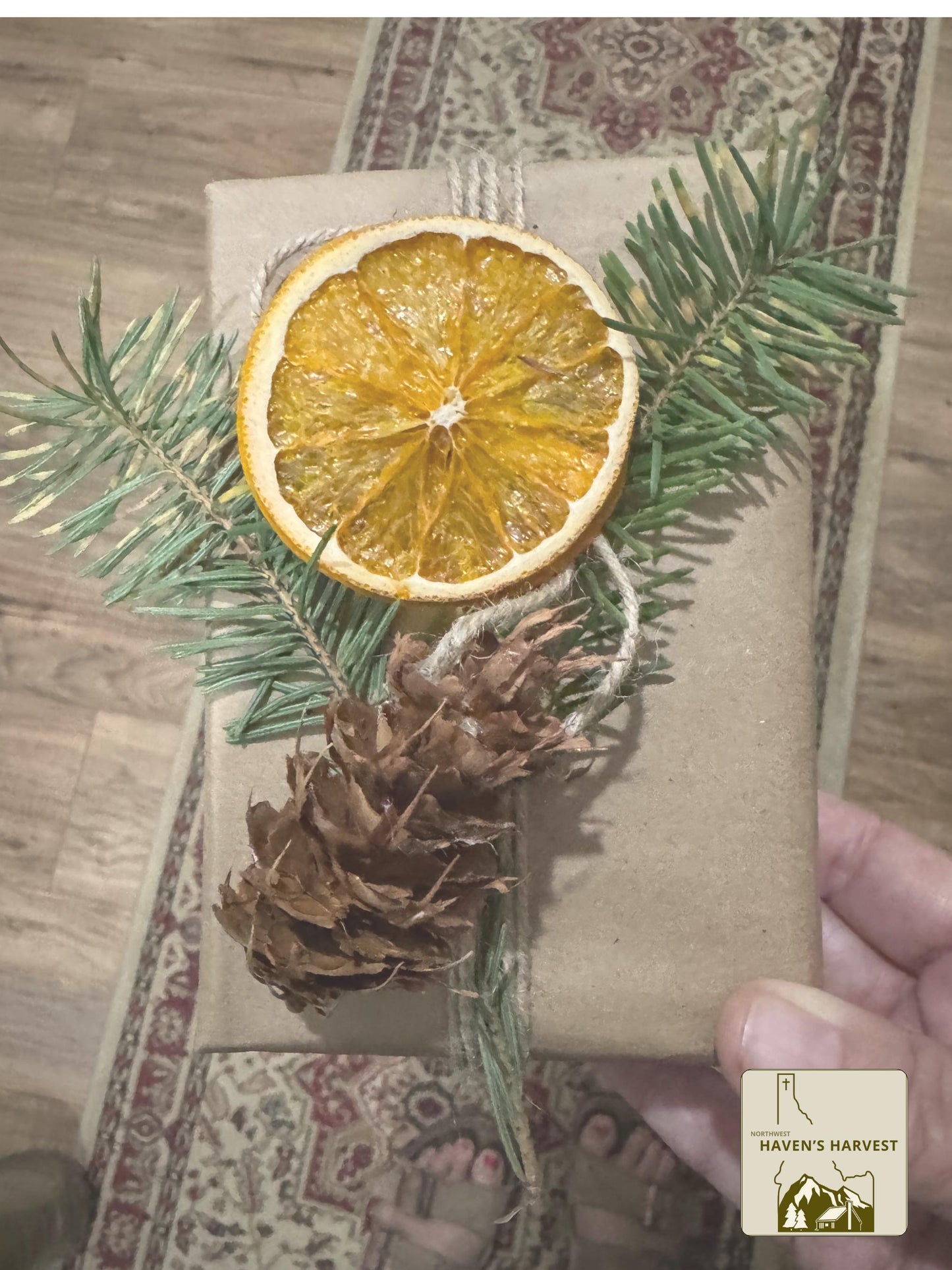 Organic Dried Grapefruit Slices (20 Count) – Fall Decor, Cocktail Garnish, Potpourri, Holiday Crafts