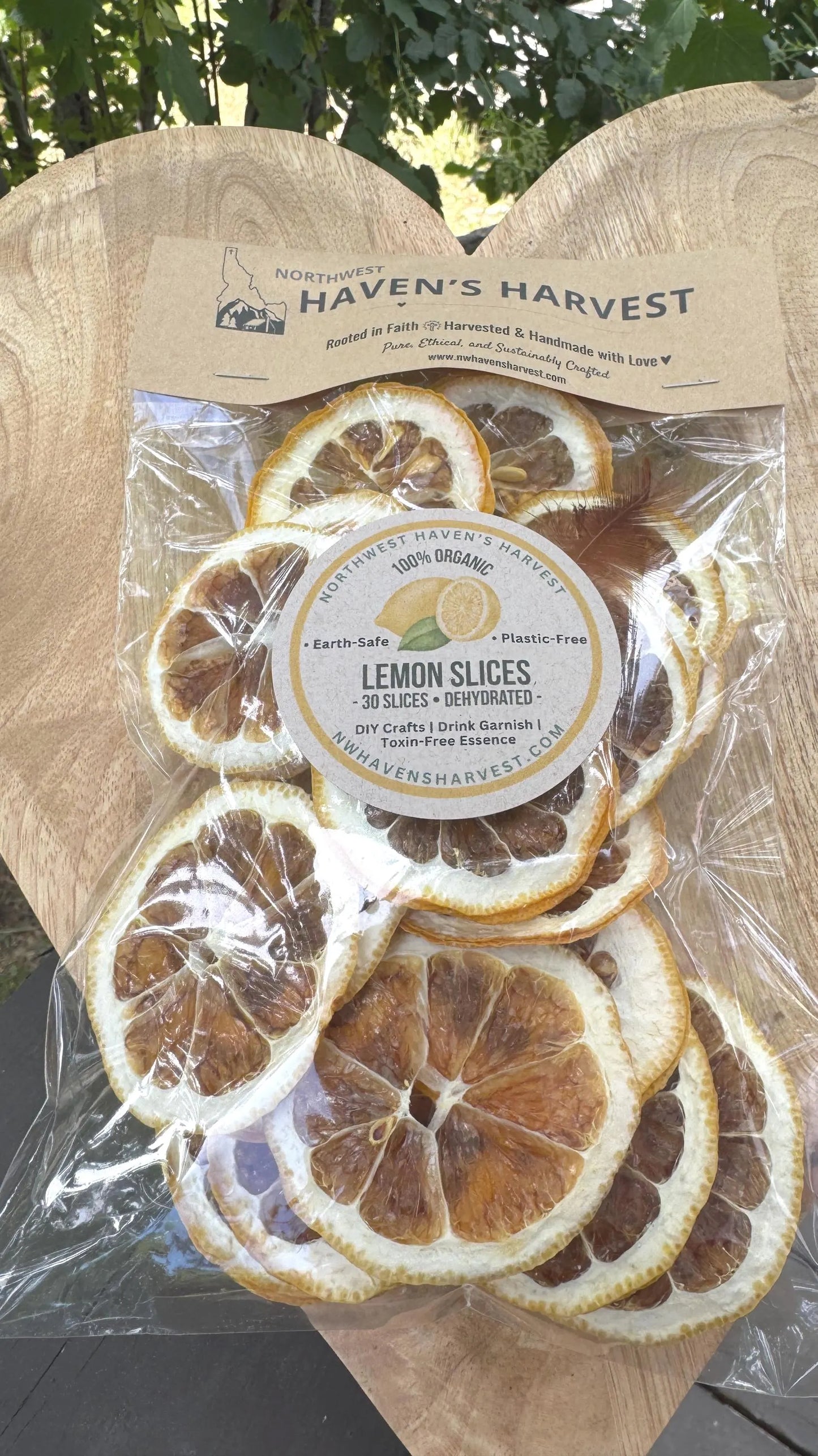 Organic Dried Lemon Slices (30 Count) – Fall Decor, Cocktail Garnish, Potpourri, Holiday Crafts