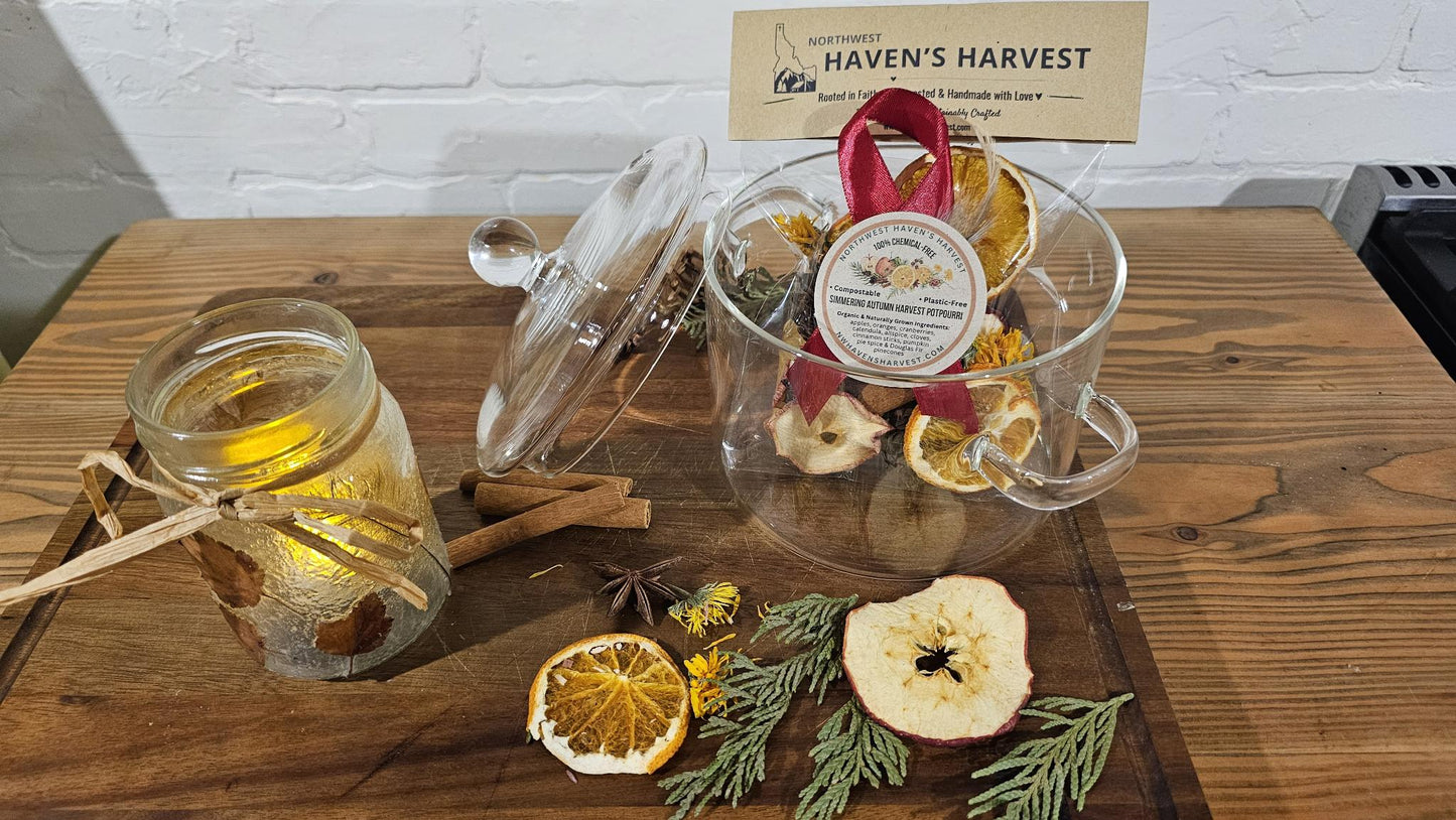 Organic Pumpkin Spice Simmer | Fall Potpourri for Stovetop | Eco-Friendly Autumn Home Fragrance