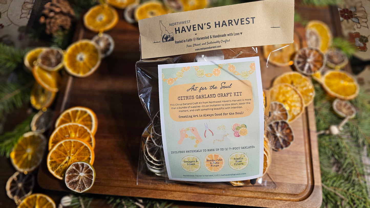 DIY Organic Dried Citrus Garland Make-It Kit: Orange, Lime, Gold Accent Autumn & Christmas Decor