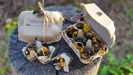 Botanical Firestarters: Eco-Friendly Camping & Bonfire Starter