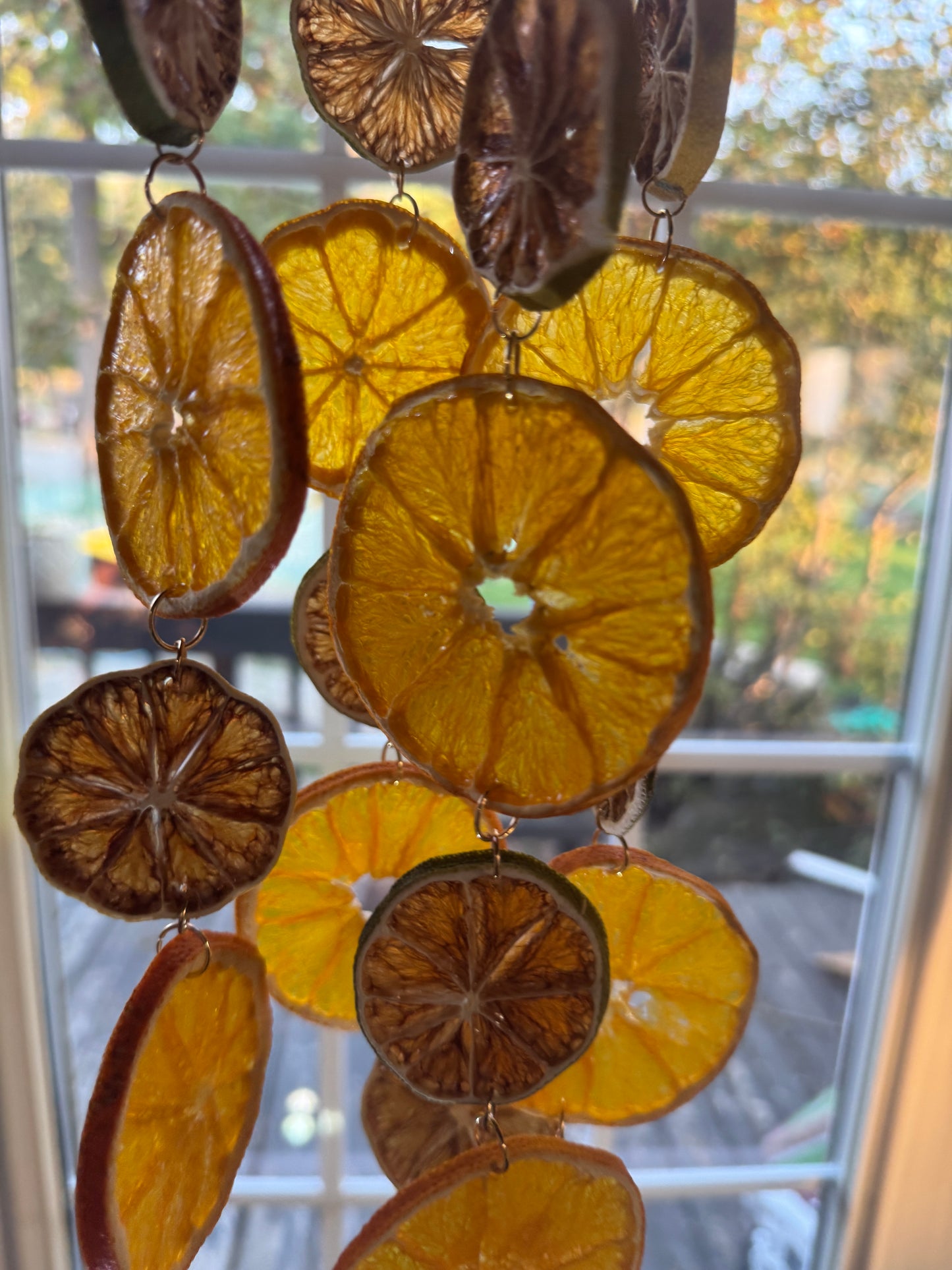 Organic Dried Citrus Garland: Orange, Lime, Gold Accent Christmas Decor