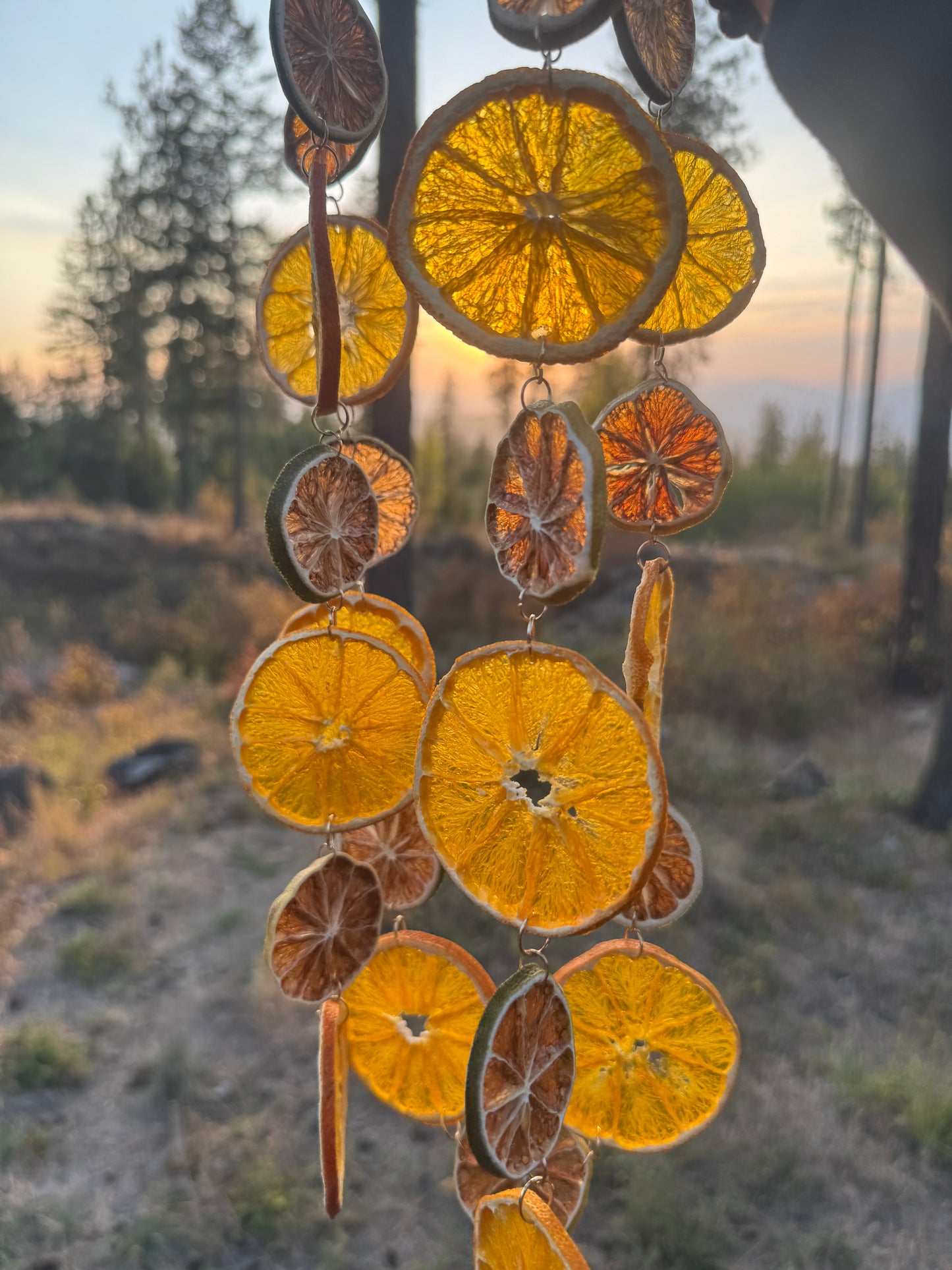 Organic Dried Citrus Garland: Orange, Lime, Gold Accent Christmas Decor