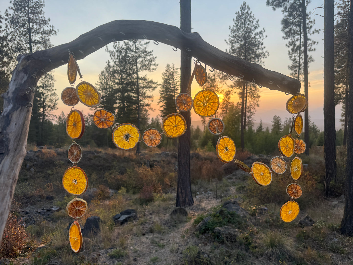 Organic Dried Citrus Garland: Orange, Lime, Gold Accent Christmas Decor
