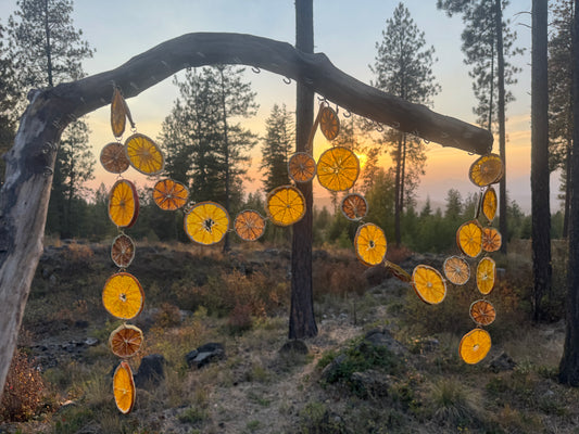 Organic Dried Citrus Garland: Orange, Lime, Gold Accent Christmas Decor